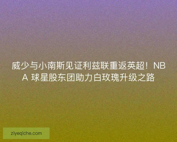 威少与小南斯见证利兹联重返英超！NBA 球星股东团助力白玫瑰升级之路