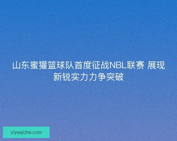 山东蜜獾篮球队首度征战NBL联赛 展现新锐实力力争突破